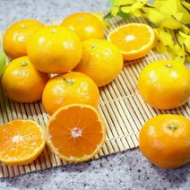 제주 조생귤 타이벡 타이백 노지 햇 감귤, 타이벡 감귤 5kg / S-M / 로열과