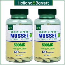 특별할인 Holland & Barrett 홀랜드앤바렛 그린립드 머슬 초록입홍합 500mg 120캡슐 2팩 Green Lipped Mussel