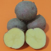 포슬포슬 카스테라 홍감자(찜 혼합 조림), 5kg(혼합중상), 1개