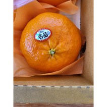 레드향, 3kg(대)