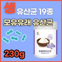 락토바실러스 가세리 루테리 모유 유래 유산균 여자 여성 50대 60대 노인 김치 플란타럼 유신균 프로바이오틱스 복합 종합 생유산균 분말 가루 파우더 성인 분유 프락토올리고당 추천, 230g 1통