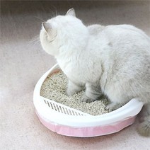 (주)트리 인천가정지사 고양이 화장실 봉투 3롤 세트 고양이화장실리필봉지 (8974559)