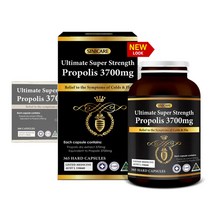 시니케어 고함량 호주산프로폴리스 3700mg 360캡슐, 단품