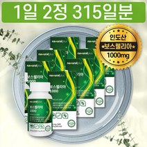 대용량 보스웰리아 보스웰리스 보이스웰리아 산화마그네슘 스위스 비타민D 함유 AKBA KBA 합 초록홍합가루 구루코사민 글로코사민 홈쇼핑 가성비 가격 함량 구매처 구입