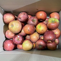 쥬스용 가정용흠집 홍로 사과 9kg 갈아먹는용도입니다
