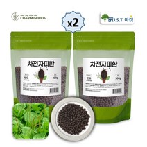차전자피환 차전자피 식이섬유 포만감 섬유질 많은식품 장운동 상쾌한 변화 300g 1팩~4팩, 300g 2팩