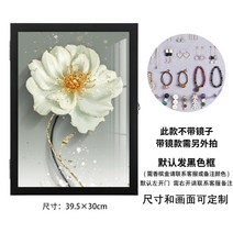 선반 먼지방지 수납 세밀한 악세서리 케이스 인플루언서 귀걸이보관함, T14-블랙업 액자박스 014리골드 액자박스, 기본