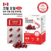 알비푸드 남극 크릴 오일 15g, 3개, 30정