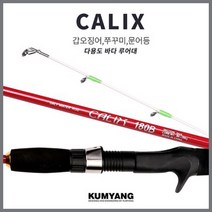 금양피싱 칼릭스 갑오징어 쭈꾸미 바다루어대, 180S