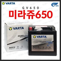 미라쥬650 미라쥐650 GV650 AGM 배터리