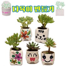 어린이집 다육이만들기 DIY키트 화분 꾸미기 키즈 노인 돌봄프로그램 체험학습