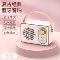 블루투스 스피커 노이즈캔슬링 골전도 무선 이케아 우퍼 사운드바 대형 버스킹 플라즈마 휴대용 다이소 가성비 만들기 누구 샤오미, 단일사이즈, 레트로 파우더