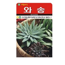 SN월드 씨앗 민속특수씨앗 약초 곰취 냉이 와송 삼채 더덕 도라지 당귀 잔디