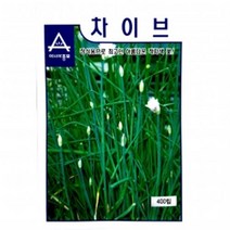 아시아종묘/허브씨앗종자 차이브 몬챠이브즈(400립)