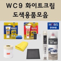 순정품 현대 WC9 화이트크림 2개세트 자동차 차량용 붓펜 카페인트 도색 스프레이 쏘나타 그랜져 더뉴 팰리세이드 아슬란 하이브리드 택시 N라인, 01.붓펜: WC9 화이트크림 2개세트 (당일발송)