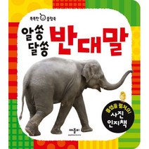 알쏭달쏭 반대말 : 플랩을 펼쳐요! 사진 인지책, 애플비