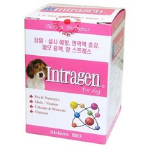 인트라젠 영양제 200정