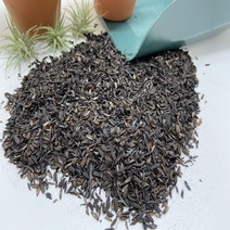 훈탄 테라리움 숯 수질정화용 공기정화용 토양개량재 탈취효과 왕겨숯 2L 250g