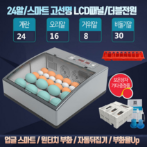 병아리 부화기 미니 메추리알 계란 자동 전란 온도조절 유정란 키우기 조류 물공급기, 프리미엄 병아리 부화기 24구