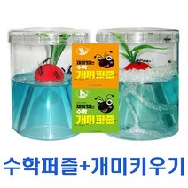 앤트빌(살아있는 개미포함) 재미있는 수학 개미퍼즐+개미키우기세트, 안쌤영재교육연구소 퍼즐B