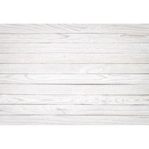 사진촬영배경지 생일 파티 배너 어린이 반려동물 동물 초상화 사진 촬영, Vinyl 220x150cm+NBK28178