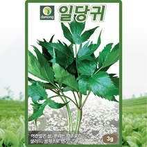 일당귀 씨앗 일당귀 씨 종자 3g, 1개