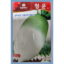 채소-청운무 4만립 김장무 가을무 씨앗 종자, 1개
