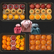 백화점용 명품 과일선물세트 사과 배 한라봉 레드향 천혜향, 사과 특대과 5kg (12~13과)