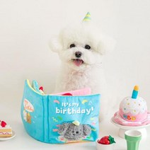 BC 인스코리아 그리운 음식 귀여운 킁킁 소리 독서 장난감 강아지 티베트 음식 책 애완 동물 생일 아마존 수출, 푸른