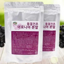 아로니아가루 아이수 동결건조 아로니아분말 100g :daydm, 선택하신 상품
