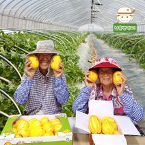 성주직송 제철과일 성주 참외 2kg, (특)2kg(6-9과)