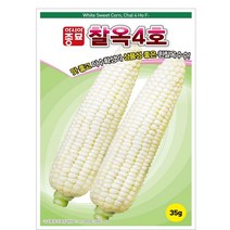 아시아종묘 옥수수씨앗 찰옥4호 (35g), 1개