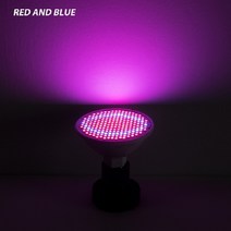 스마트팜 수경 재배기 채소 식물공장 gu5.3 fitolampy 램프 led, 빨간색과 파란색, b22 60leds 220v, 2년 보증