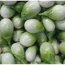 [사각사각 달콤한 국내생산 태국가지 마크아 500G] 커밋가지 태국야채 동남아채소 마크어 태국커밋가지 태국식재료 태국 가지 커밋, 태국가지 500g, 1개