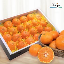 (롯데백화점)(올찬) 레드향(대/중) 3kg(14-19과)/제주직송