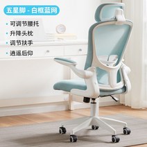 목받침의자 게이밍 의자 핑크 요추 레이저엔키 인체 공학적 컴퓨터 의자 홈 오피스 앉아있는 회전 안락 현, 04 Blue Net