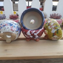 모아보는 다육화분 세트 모음, 1번-원형 마블 4개세트