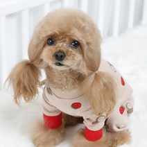 ZOOBICO 강아지 올인원 귀여운 딸기토끼 & 체리곰 올인원 (4color), 딸기토끼 아이보리