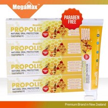 [생활/소품/최저가]_메가맥스 뉴질랜드 프로폴리스 치약 160g x 1개 _38672EA, 1, 본상품선택