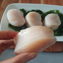키조개 관자 1kg (국내산 ), 국내산 키조개 소 사이즈 1박스, 1개