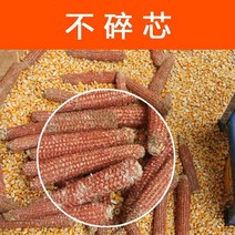 탈곡기 콩 땅콩 까는 기계 옥수수 콤바인 가정용 소형 전기 필링 및 박동 완전 자동 기획 곡물, [05] 1