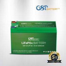 GSP 지에스피 리튬인산철 다용도배터리 24V 6A