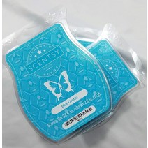Scentsy Blue Grotto Three (3) 팩 정품
