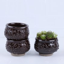 작은 다육이 화분 2종