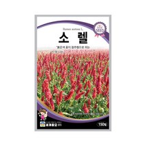 모칸도 세계 허브씨앗 소렐 150립