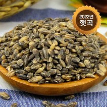 논앤밭위드 2022년 햇곡 검정보리쌀 국산 2kg, 단품