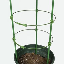 원형 반려 식물지지대 금전수지주대 화초 여인초 45cm