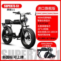 전기 팻바이크 파방모터 자전거 강아지 mtb 배달용 트렉 접이식 삼륜 2인용 출퇴근, 48V, 13AH, s11 1:1 수입 플래그십/ 리튬그래핀배터리