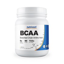 BCAA 파우더 90회분 파인애플맛, 1병, 722g