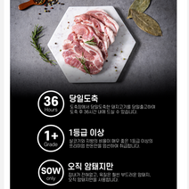 도축장 직배송 한돈 돼지갈비 등갈비 리콜 통삼겹 생삼겹살 앞다리살 암돼지 목살 당일도축 목심 등심 한우불고기 한돈목살 우리한돈 한돈등심 캠핑고기 모음 수육용 전지 등급 특가전 부위, 미앞다리살 1kg